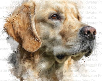 ゴールデンレトリバーの子犬の写真、高解像度、超リアル（デジタル