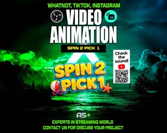 Spin 2 Pick 1 Animated Stream Overlay | TikTok, Whatnot, OBS (Digital Download)