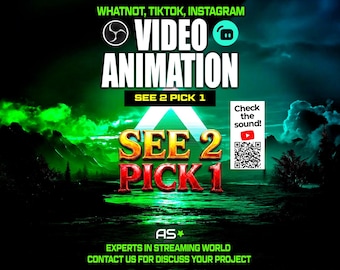 See 2 Pick 1 Animated Stream Overlay | TikTok, Whatnot, OBS (Digital Download)