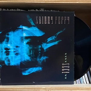 May include: A vinyl record album by Skinny Puppy, titled "VIVI SECT VI", is displayed in a wooden shelf. The album cover features a blue and black graphic design. The record is black and partially visible. Other records are stacked to the left and behind the album.