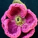 see more listings in the Flowers section