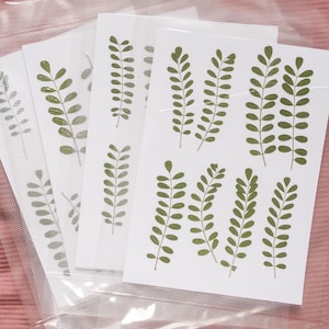 May include: Several white cards with green leaf illustrations are visible, some in clear plastic sleeves. The leaves are a simple, stylized design. The cards are arranged on a pink, textured surface.