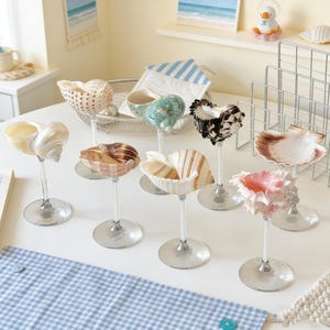 May include: A collection of decorative seashell displays. Each shell is mounted on a clear, stemmed base, resembling a wine glass. The shells vary in color and pattern, including white, brown, pink, and striped designs. The arrangement is on a white surface.