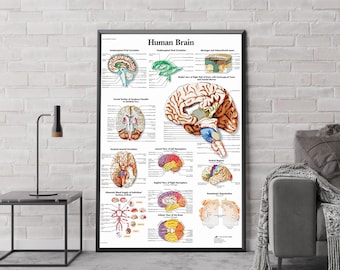Human Brain Analysis Aiagram Poster, Anatomy Canvas Wall Art Home Decoration, Doctor Office Study Prints Wall Decorations