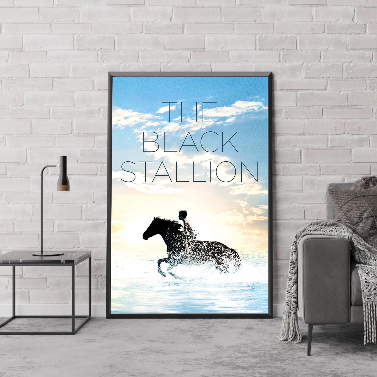The Black Stallion Movie Poster - Etsy