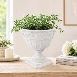 May include: A white pedestal planter with a flared rim and ornate embossed detailing around the upper section. The bowl features vertical fluting and rests on a square base. A green and white variegated plant is potted inside the container.