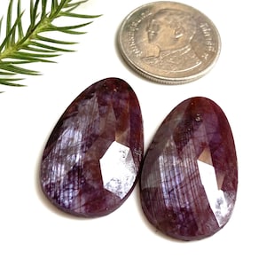 Puede incluir: Dos gemas facetadas, en forma de lágrima, de color rojo intenso, con una moneda y una ramita verde sobre un fondo blanco. Las gemas tienen una superficie pulida y reflectante, mostrando patrones internos.