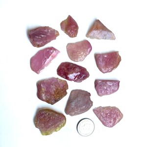 Puede incluir: Un conjunto de piedras de turmalina rosa en bruto, de diversas formas y tamaños. Las piedras tienen una cualidad translúcida y varían en color desde rosa claro hasta rosa intenso. Se incluye una moneda como referencia de tamaño.