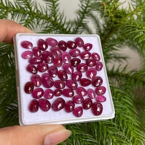 Op de afbeelding: Een verzameling gefacetteerde, ovaalvormige, dieprode edelstenen, gepresenteerd in een witte plastic container. De edelstenen variëren in grootte en vorm. Groen gebladerte vormt de achtergrond.