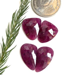 May include: Four faceted, heart-shaped, deep red gemstones with a coin and a sprig of greenery on a white background. The gemstones have a polished, reflective surface, showcasing their internal structure and color variations.