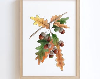 Oak Leaves and Acorns Wall Art – Hand-Drawn Botanical Illustration, Autumn Printable Artwork, Instant Download
