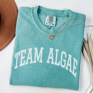 Team Algae Reflecting Pool Shirt, Anti Trump Merch, 8647, Fight Fascism, Abolish Ice, Eat The Rich, No Kings, DC Protest, 250th Anniversary