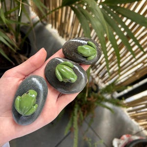 May include: Three grey stones, each with a glossy green frog figurine. The frogs have visible eyes and limbs. The stones are held in a hand, with greenery in the background. The stones are oval-shaped.