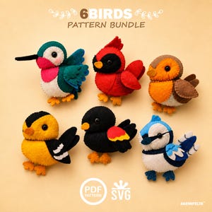 Può includere: Immagine di sei modelli di uccelli in feltro di vari colori, tra cui rosso, blu, giallo e nero. L'immagine include il testo "6 BIRDS PATTERN BUNDLE" e le icone PDF e SVG.