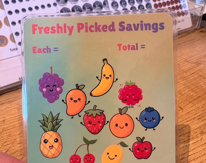 Cash Stuffing/Challenges