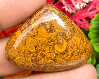 Natural Brown Mariyam Jasper Cabochon For Jeweller Making 62.50 Carats One 30X39X7 mm Size