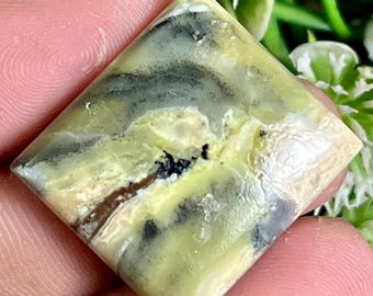 Natural Green Serpentine Cabochon For Jeweller y Making 25.85 Carats One 24x22x5 mm Size