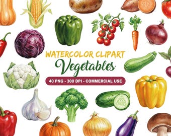 Watercolor Vegetables Clipart Set | Fresh Veggie PNG Bundle | Farm Garden Food Illustrations | 40 PNG 300 DPI Commercial Use