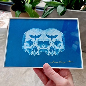 Framed Skull Cyanotype 5x7