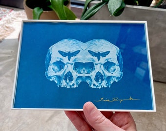 Framed Skull Cyanotype 5x7