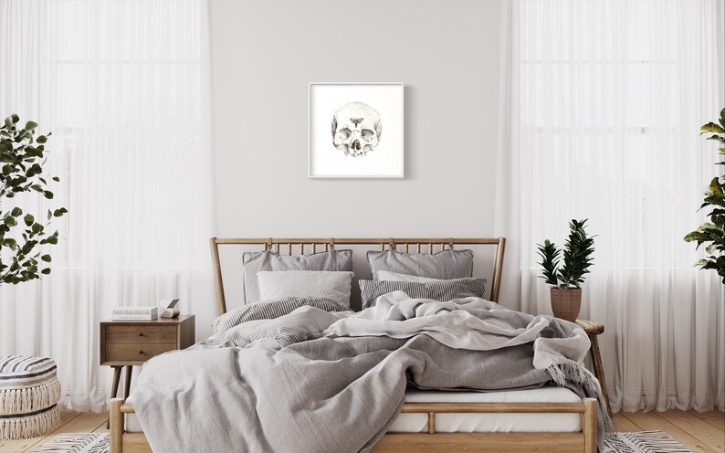 Skull and Moth Fine Art Print Watercolor | Anatomical Wall Art ...