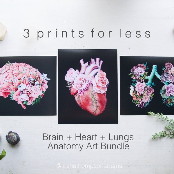 Floral Anatomy Wall Art - Etsy