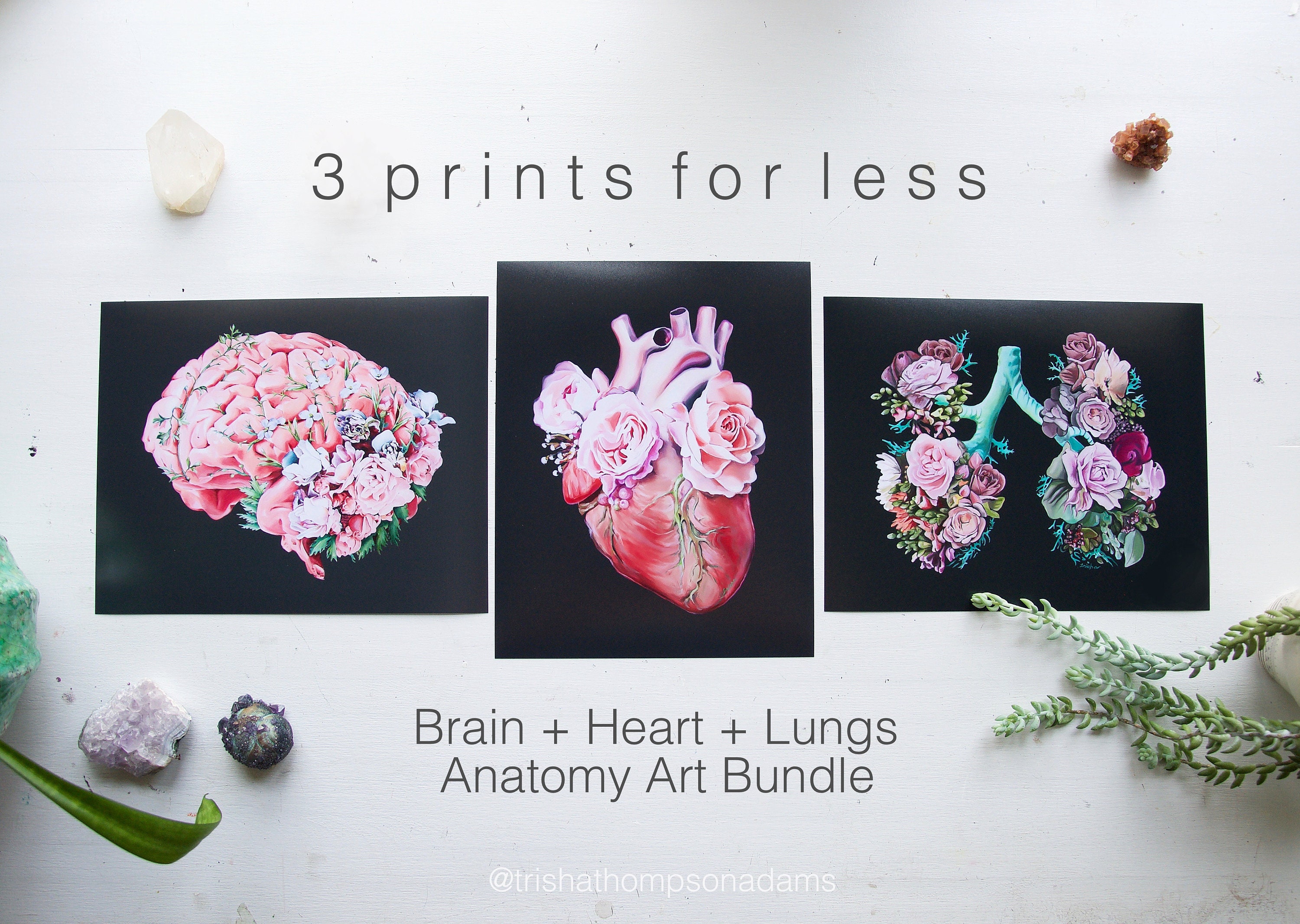 Floral Anatomy Art Print Gift Set - Anatomical Art Prints - Human Body ...