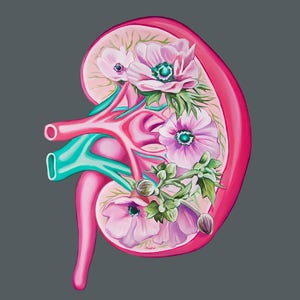 Floral Kidney Charity Bundle Anatomical Art Prints Human Body Medical Art image 3