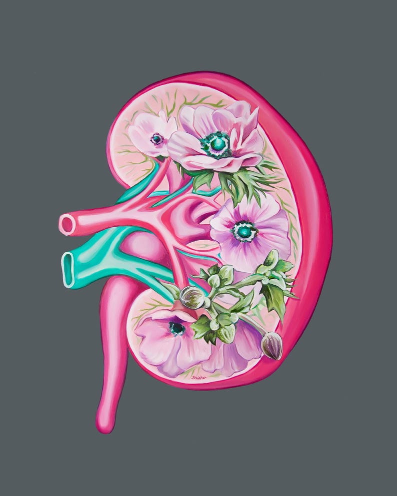 Floral Kidney Charity Bundle Anatomical Art Prints Human Body Medical Art image 3