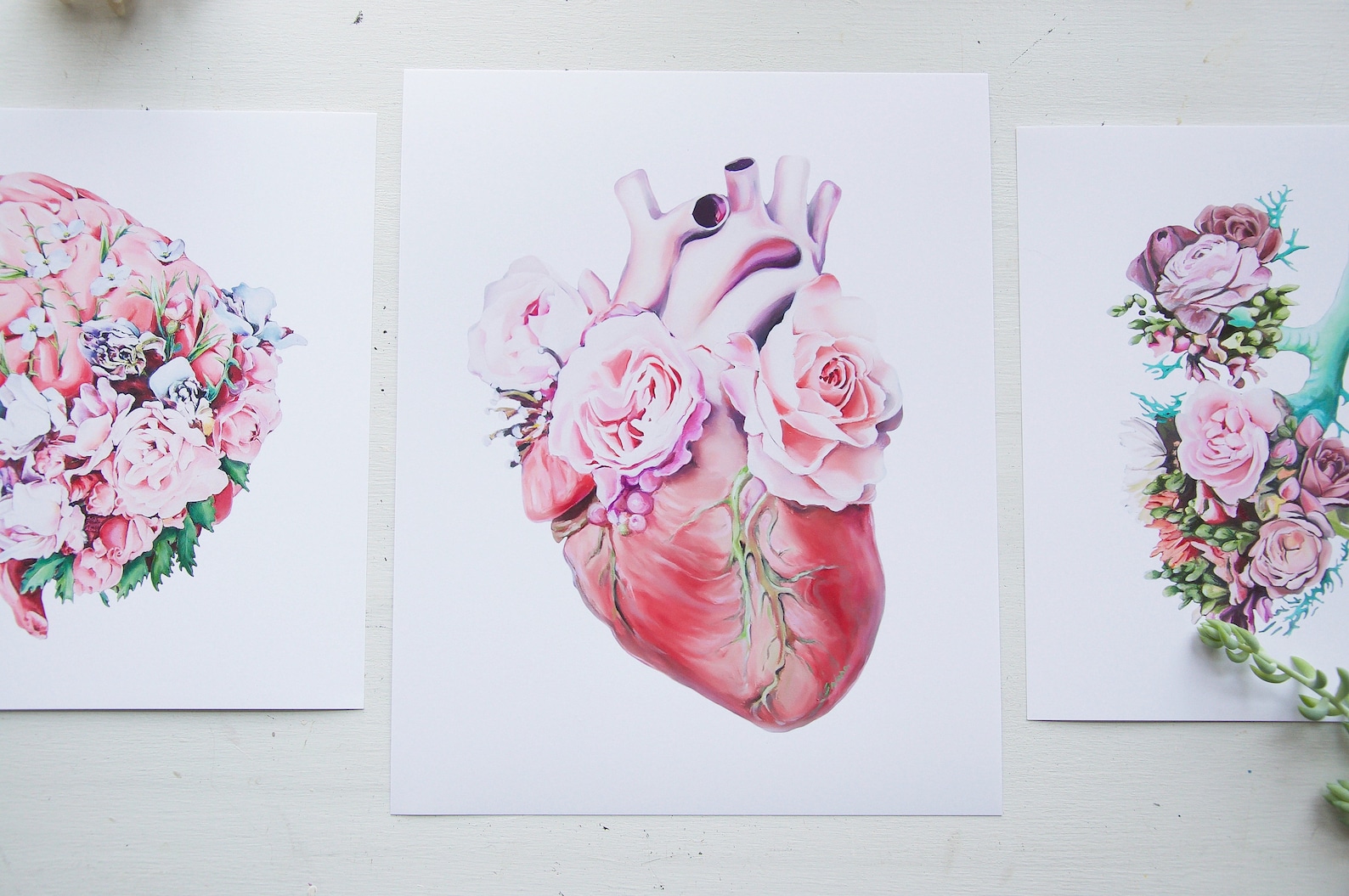 Floral Anatomy Art Print Gift Set Anatomical Art Prints Etsy