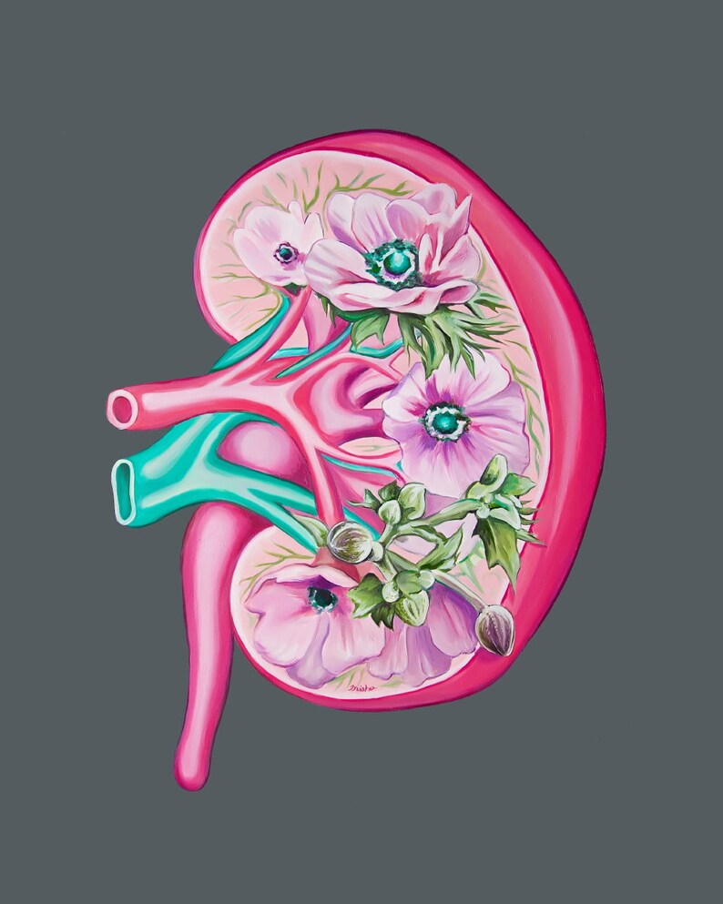 Floral Kidney Transplant Print Anatomical Art Human Body Medical Art image 4