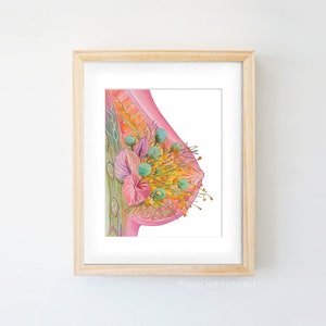 Puede incluir: Una ilustraci&oacute;n de acuarela de un pecho con un dise&ntilde;o floral. El pecho es rosa y las flores son de varios colores, incluyendo amarillo, naranja, verde y rosa.