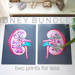 Floral Kidney Charity Bundle Anatomical Art Prints Human Body Medical Art image 1