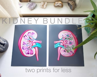 Floral Kidney Charity Bundle - Anatomical Art Prints - Human Body - Medical Art