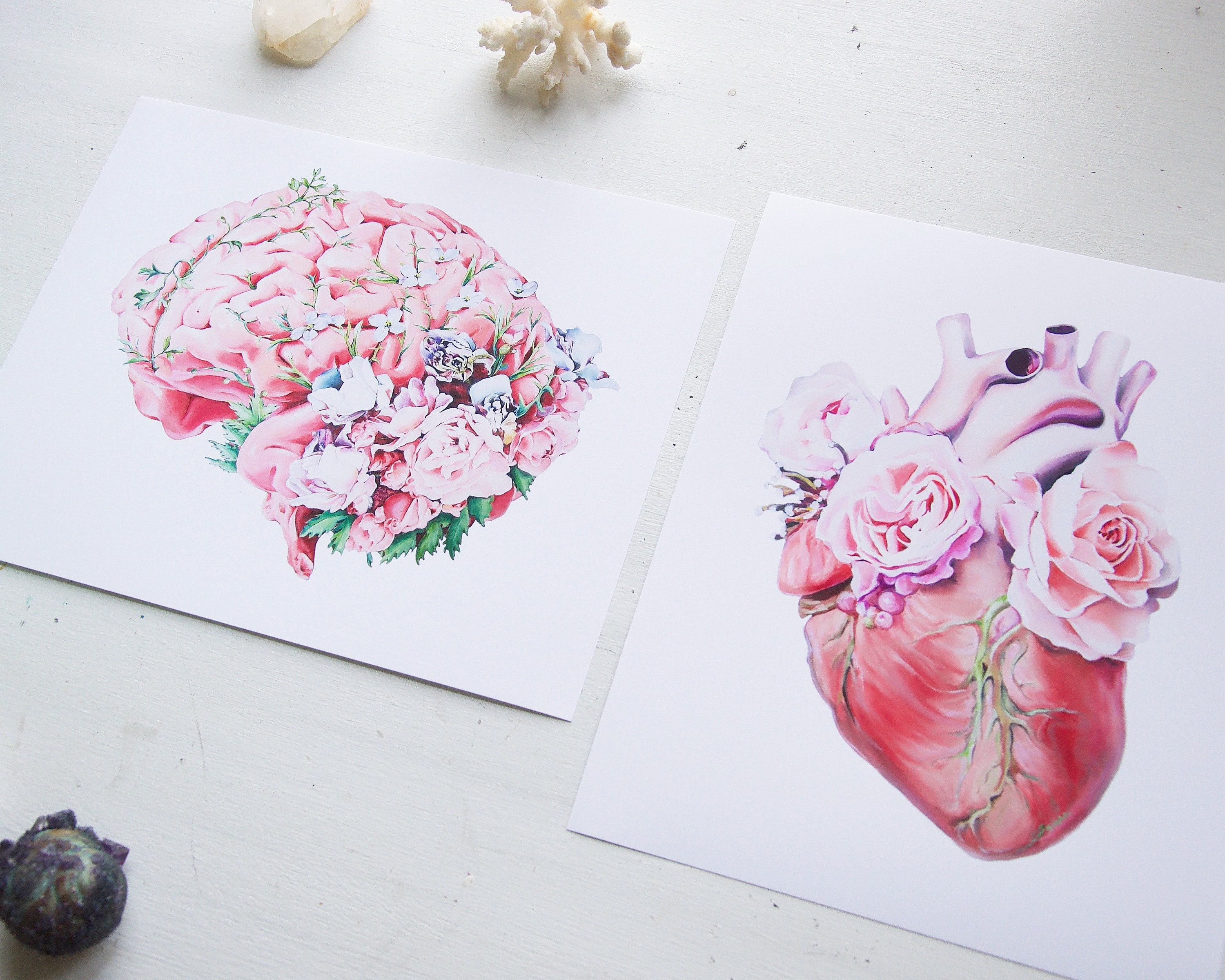 Floral Brain White Background Print of Oil Painting - Anatomical Art ...