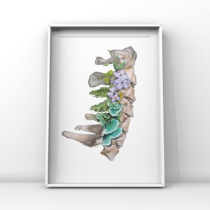 Floral Cervical Spine White Vertebrae Print of Oil Painting - Anatomical Art Print - Human Body - Medical Art