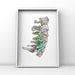 see more listings in the ANATOMY WHITE BACKGROUND section