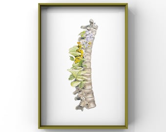 Floral Thoracic Spine Vertebrae Print of Oil Painting White - Anatomical Art Print - Human Body - Medical Art - Chiropractic Gift