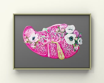 May include: A pink anatomical illustration of a human liver with white and pink flowers on top. The flowers are arranged in a cluster and have white petals with a dark center.