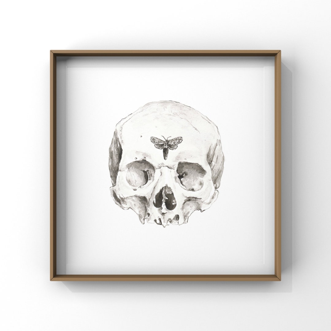 Skull and Moth Fine Art Print Watercolor | Anatomical Wall Art ...