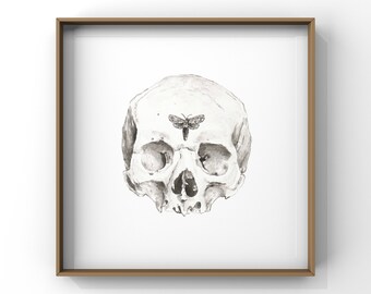 Skull and Moth Fine Art Print Watercolor | Anatomical Wall Art | Skeleton Decor