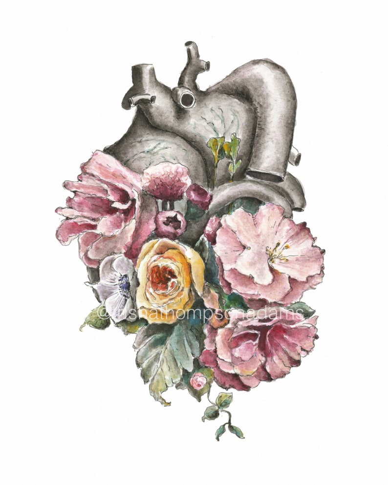 Floral Anatomy: Heart Print of Watercolor Anatomical Art Print Human Body Medical Art Clinical Wall Art Nurse Gift image 3