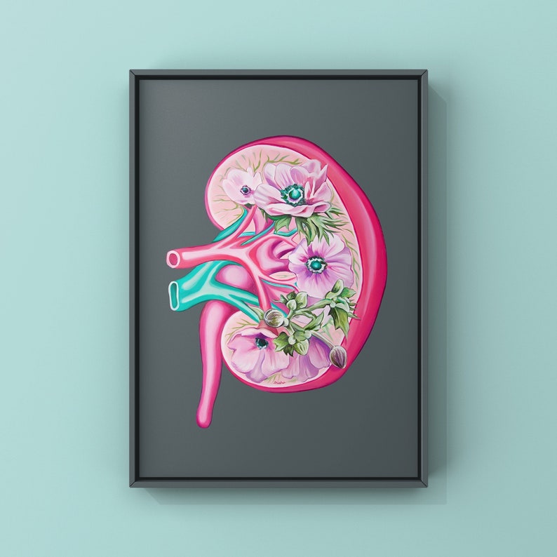 Floral Kidney Transplant Print Anatomical Art Human Body Medical Art image 1