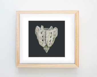 May include: A framed illustration of a white bone with a green tint on a black background.