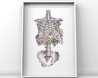 Impressão de fundo branco de esqueleto floral de pintura a óleo - Impressão de arte anatômica - Corpo humano - Arte médica - Presente de clínica esquelética de flores