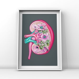 Floral Kidney Transplant Print Anatomical Art Human Body Medical Art image 2