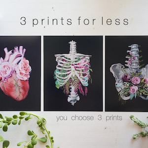 You Choose 3 Print Bundle - Anatomical Art Prints - Human Body - Medical Art