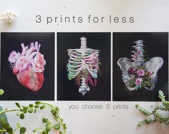 You Choose 3 Print Bundle - Anatomical Art Prints - Human Body - Medical Art