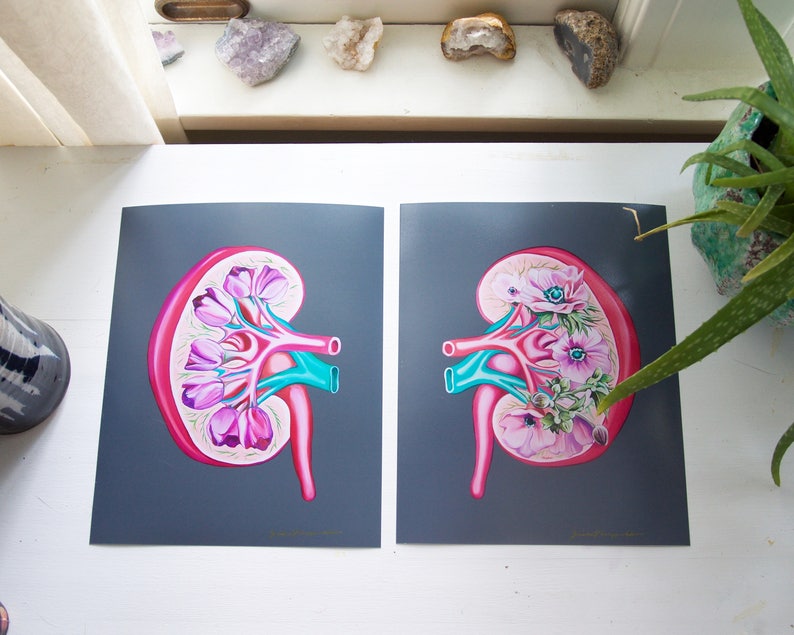 Floral Kidney Charity Bundle Anatomical Art Prints Human Body Medical Art image 6