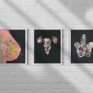 Floral Pelvis Anatomical Art Print Pelvic Floor with Flowers, Medical wall art, Physical therapy gift, Pregnancy, Human anatomy image 6